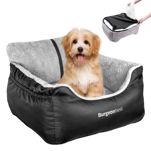 Best Car Seat for Small Dogs