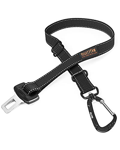 best dog car seat belt