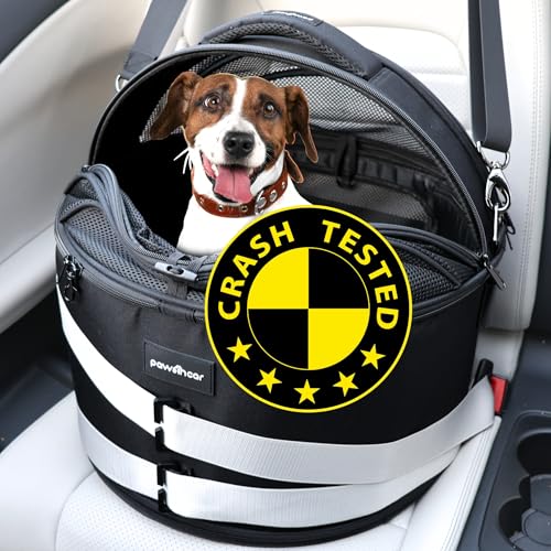 safest small dog car seat