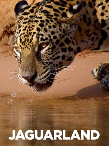 what year where car seats a law